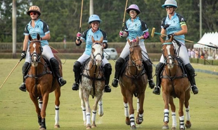 WhatsApp Image 2026-02-17 at 16.40.12